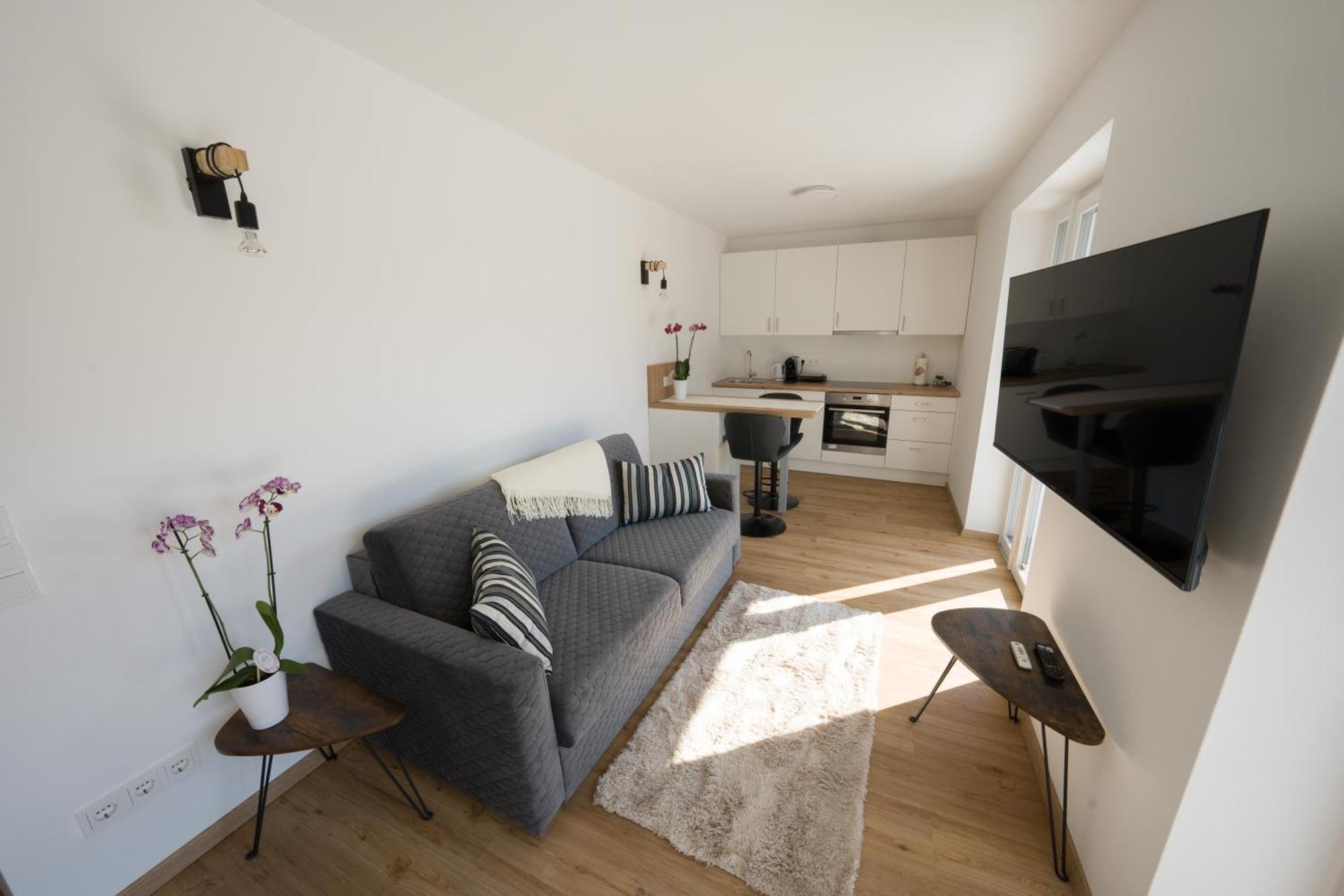 Austrian Apartments Бад Гойзерн Екстериор снимка